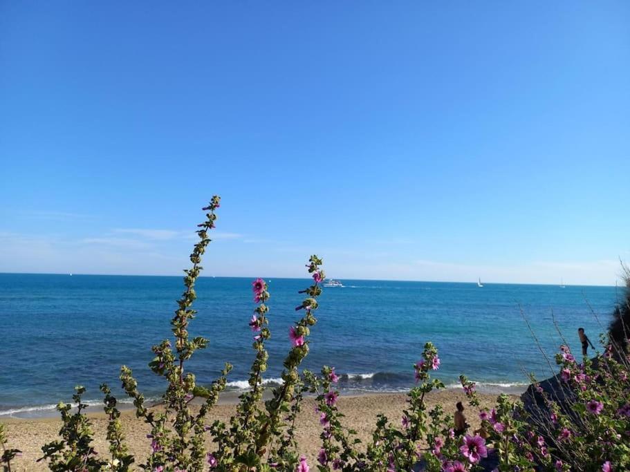 Studio Port Du Cap D'아그 외부 사진